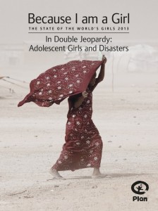 BIAAG_report cover_2013-scr